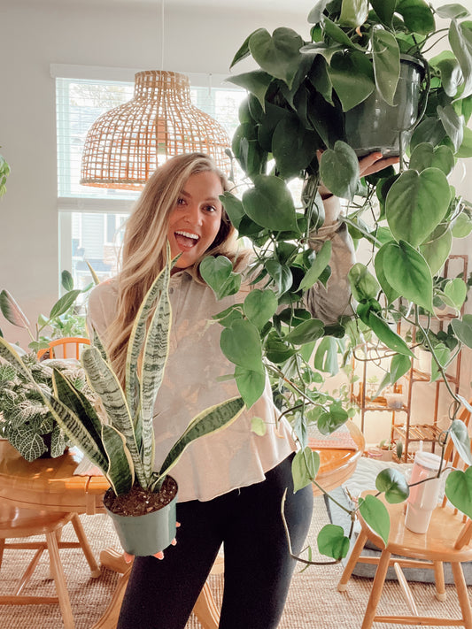 Rooted in Recovery: How Houseplants Became My Healing Sanctuary