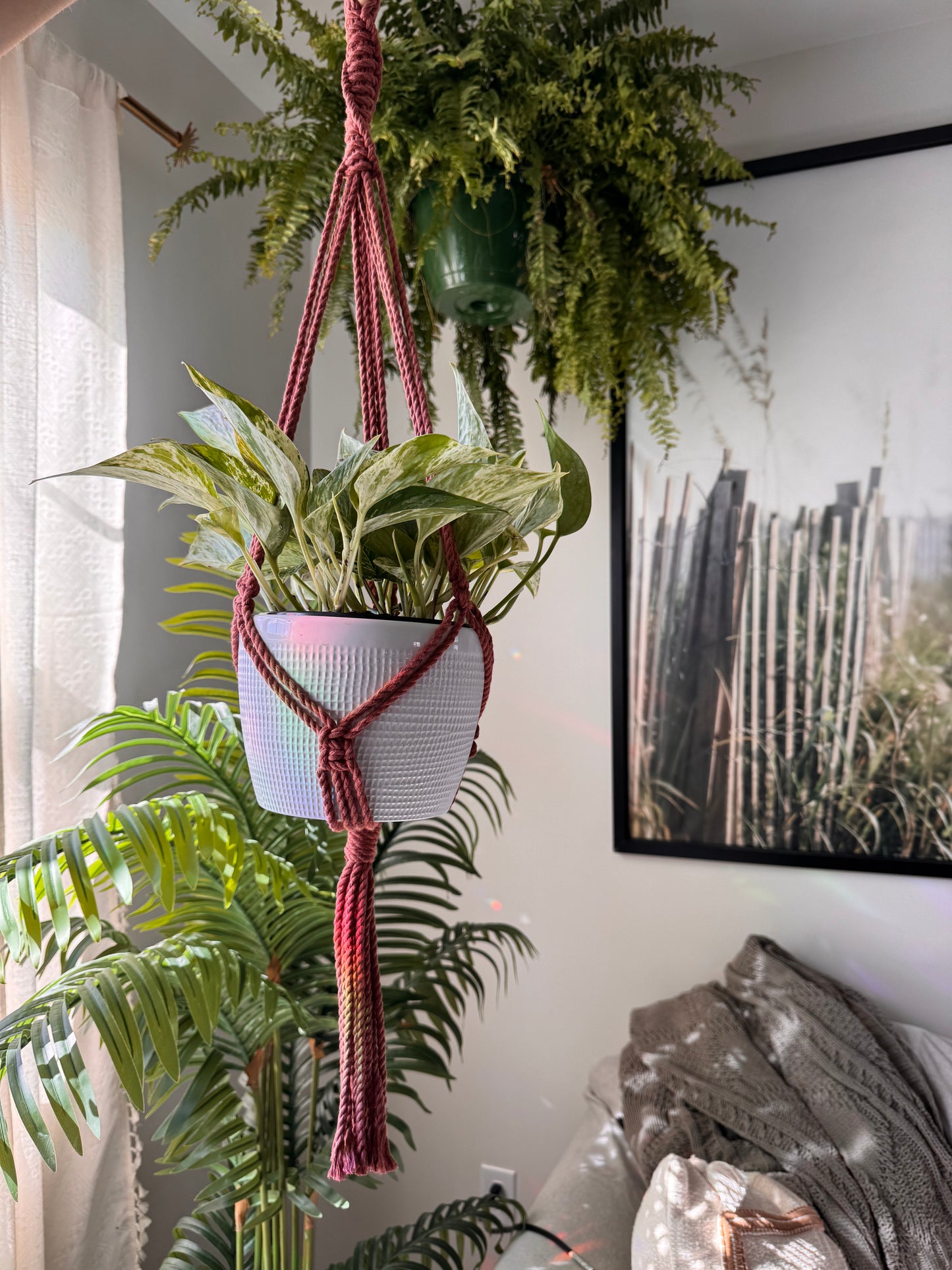 6” Pot hanger