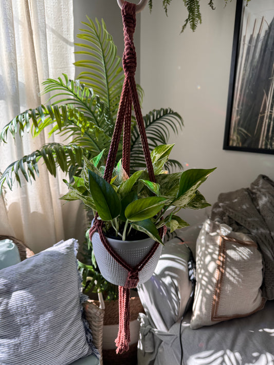 6” Pot hanger