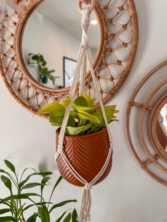 4” Pot hanger